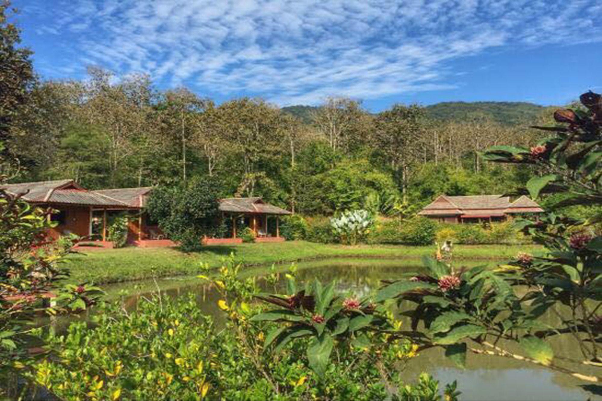 Noks Garden Resort Chiang Rai Eksteriør billede